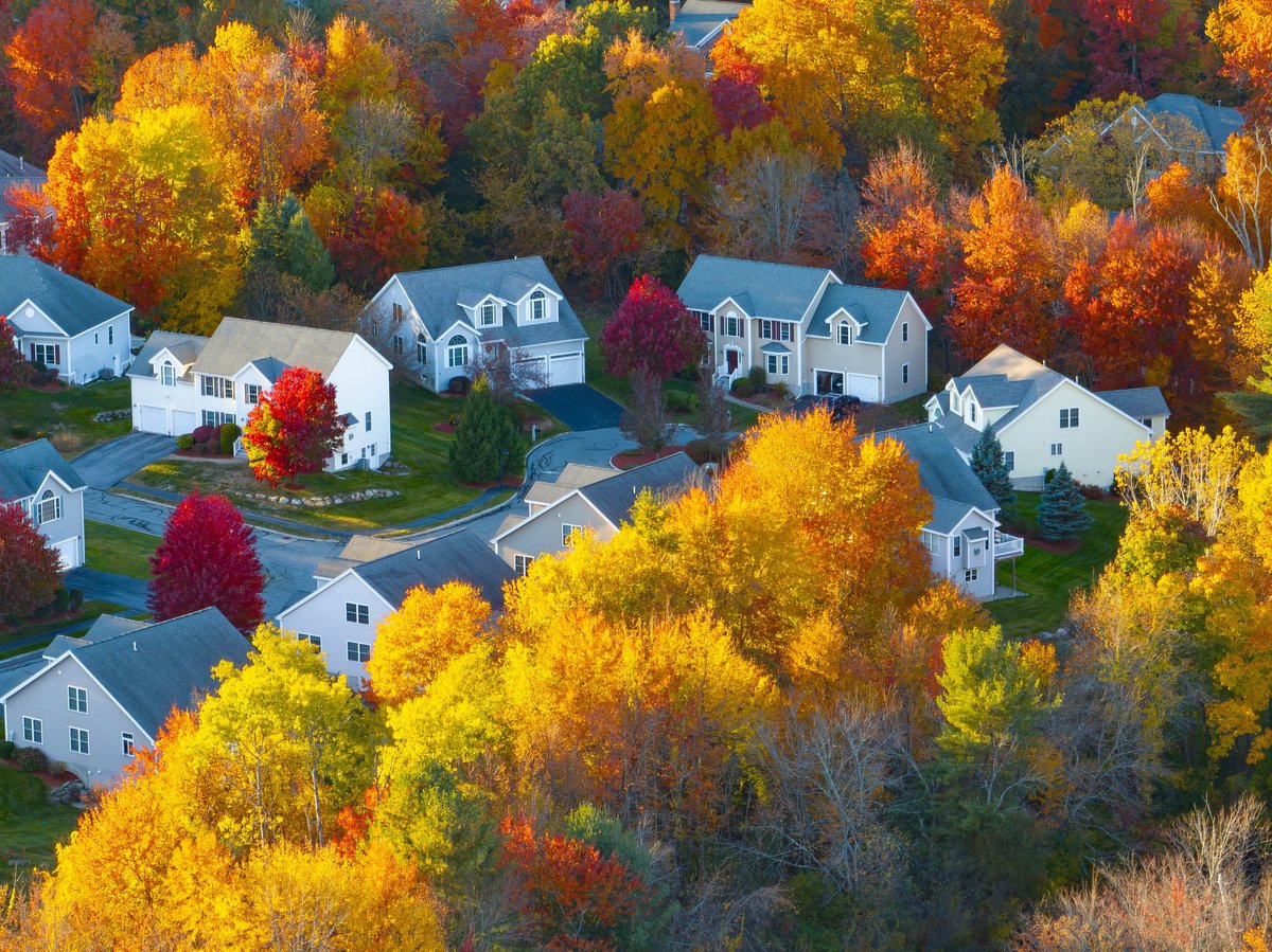Aerial view of suburban housing community in autumn season with colorful trees